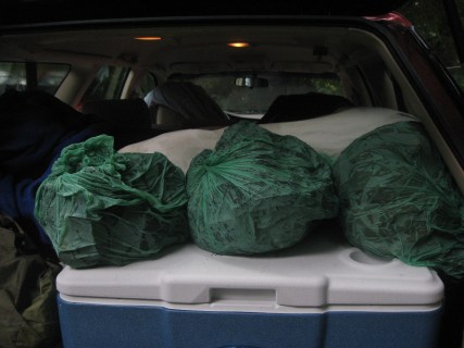 Tent wet in bags in car Prairie Creek 9-2013