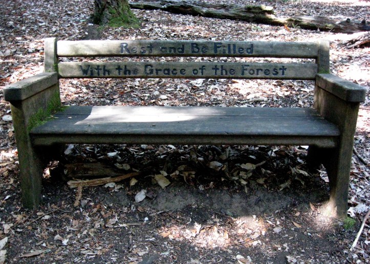 Phleger Estate bench 10-2013