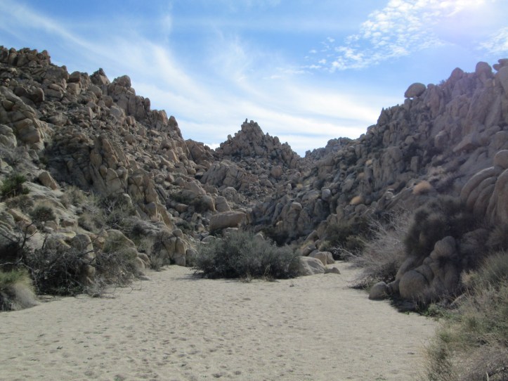Wash near Erik house in Joshua Tree 2-2014