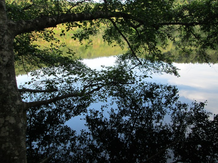 Bass Lake at dusk 5-11-14