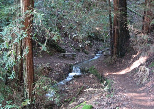 Creek on TCC Trail 1-2015