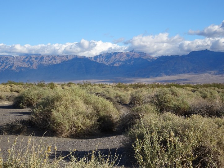 View across valley after storm Death Valley 2-2016 smaller