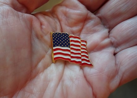 flag-lapel-in-hand-10-2016-cropped-small